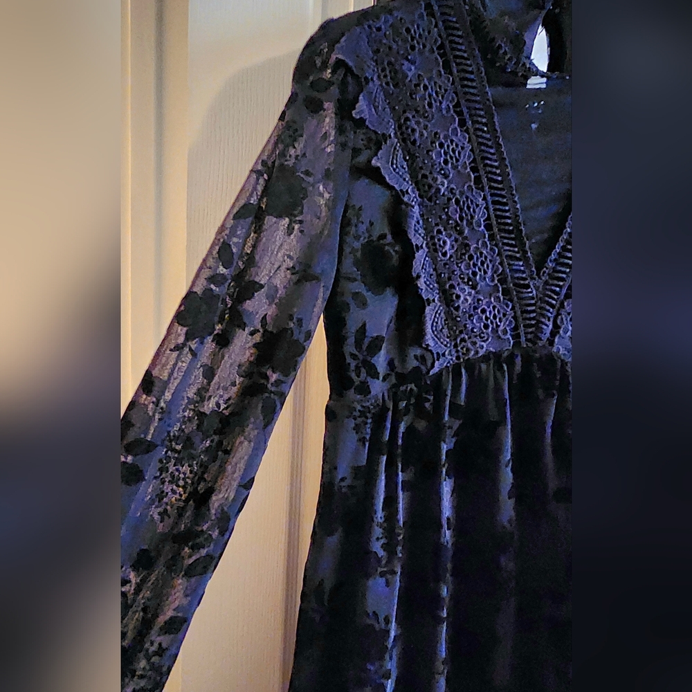 Entro Black Velvet Floral & Lace Long Sleeve Dress - Picture 4 of 8